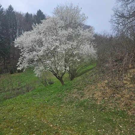 House Tereza Near Olimje, Podcetrtek Pristava pri Mestinju