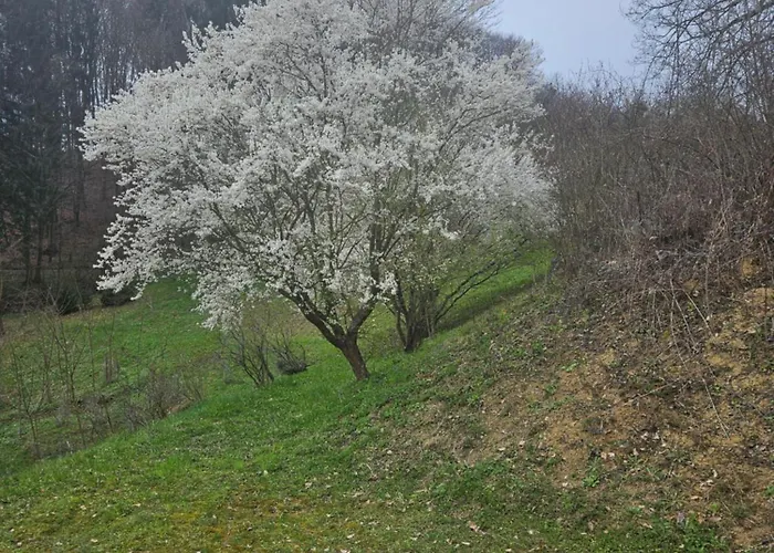 House Tereza Near Olimje, Podcetrtek Pristava pri Mestinju